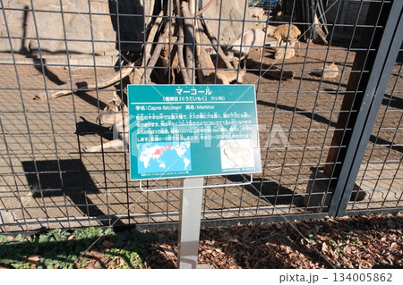 マーコールの解説板と檻越しの群れ（動物園展示） 134005862