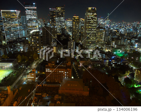 東京タワーより臨む港区（芝公園・虎ノ門方面）の夜景　　都市景観(2023年12月） 134006196
