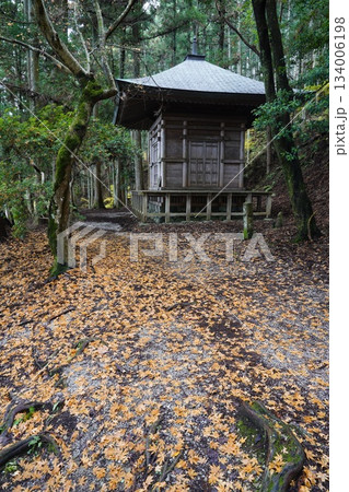 吉野山奥千本義経隠れ塔　落ち葉の路 134006198