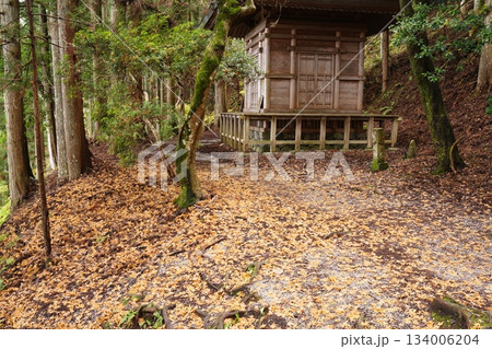 吉野山奥千本義経隠れ塔 落ち葉の路 吉野山奥千本義経隠れ塔 落ち葉の路 134006204