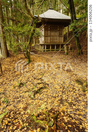 吉野山奥千本義経隠れ塔　落ち葉の路 134006206