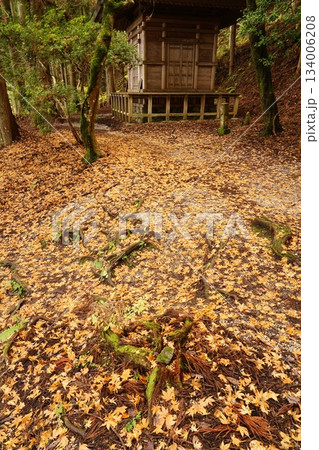 吉野山奥千本義経隠れ塔　落ち葉の路 134006208