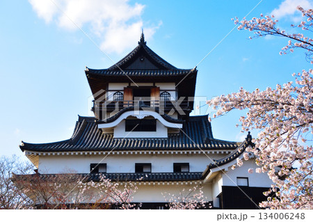 春 桜 犬山城 春 桜 犬山城 134006248