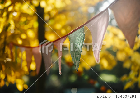 Autumn Celebration Flags on a Sunny October Day 134007291