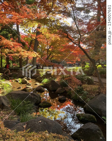 紅葉のある風景 134007681