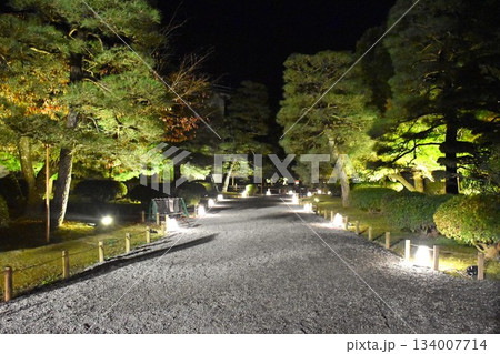 紅葉の宇治ライトアップ 紅葉の宇治ライトアップ 134007714