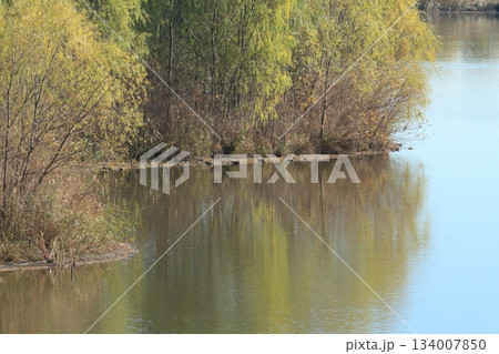 晩秋の貯水池の風景 134007850