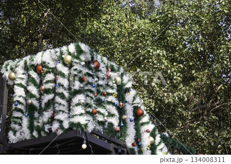 Variety plant decorate in landscaped garden,thailand Variety plant decorate in landscaped garden,thailand 134008311