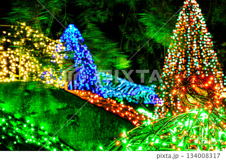 冬のファンタジー 鮮やかな色彩のイルミネーション 134008317