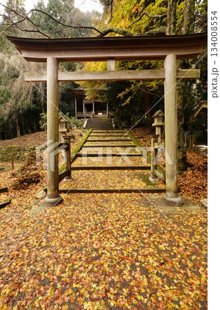 吉野奥千本金峯神社参道秋景 吉野奥千本金峯神社参道秋景 134008554