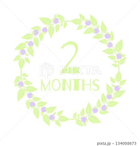 Newborn age milestone patch 2 month. Vector illustration. Newborn age milestone patch 2 month. Vector illustration. 134008673