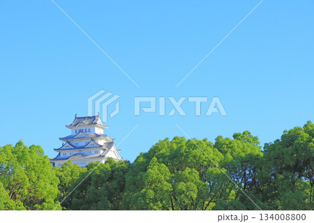 兵庫県姫路市、国宝姫路城の風景 兵庫県姫路市、国宝姫路城の風景 134008800