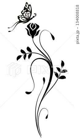 Wave ornament with rose flower, leaves and butterfly. Text divider. Decorative element for decor and text greeting or invitation card design. 134008818