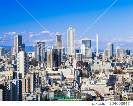 東京　池袋の高層ビル群 134008947