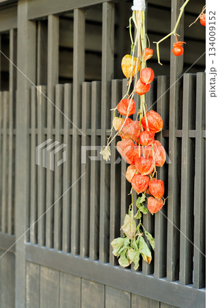 妻籠宿の町家の黒い格子戸に吊るされたほおずきの秋飾り（縦構図） 134009152