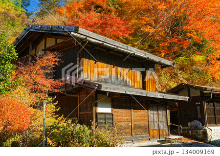 紅葉に包まれた妻籠宿の木造家屋と山あいの秋の風景 134009169