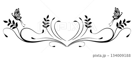 Symmetrical ornament with leaves and butterfly. Text divider. Decorative element for decor and text greeting or invitation card design. 134009188