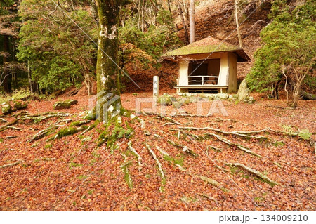 落ち葉の中に埋もれた西行庵 落ち葉の中に埋もれた西行庵 134009210