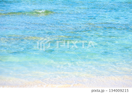 沖縄の青い海 134009215