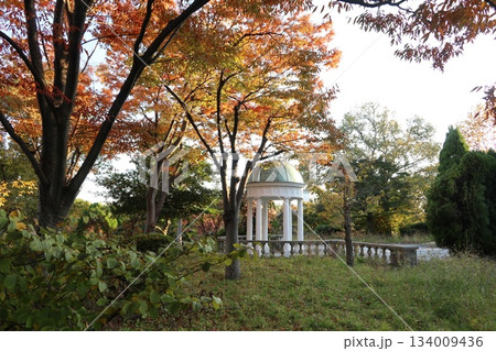 秋・紅葉 大阪の花博記念公園鶴見緑地 秋・紅葉 大阪の花博記念公園鶴見緑地 134009436