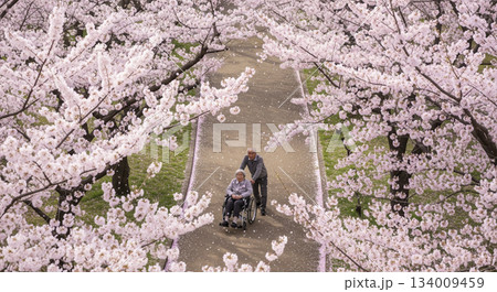 満開の桜を楽しむ老夫婦 134009459