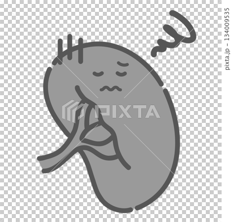 病気や炎症で不調な脾臓のキャラクターイラスト(脾腫・免疫低下) 病気や炎症で不調な脾臓のキャラクターイラスト(脾腫・免疫低下) 134009535