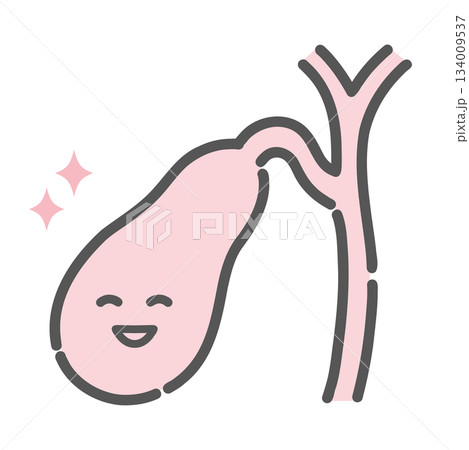 健康で元気な胆嚢のキャラクターイラスト（正常・消化機能） 134009537