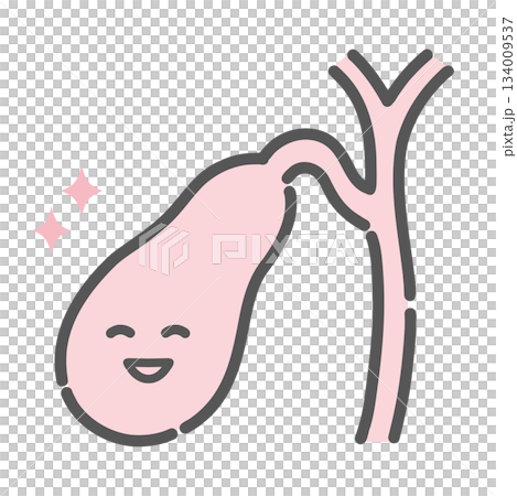 健康で元気な胆嚢のキャラクターイラスト（正常・消化機能） 134009537