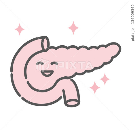 健康で元気な膵臓のキャラクターイラスト(正常・インスリン分泌) 健康で元気な膵臓のキャラクターイラスト(正常・インスリン分泌) 134009540