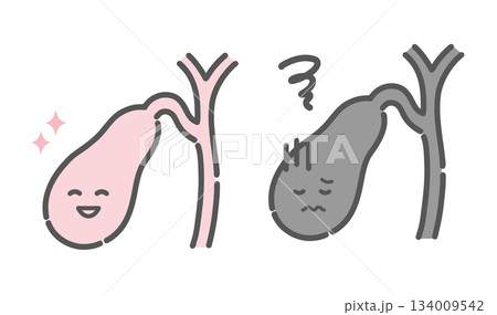 健康な胆嚢と不調な胆嚢の比較イラスト(キャラクター・胆石症・胆嚢炎) 健康な胆嚢と不調な胆嚢の比較イラスト(キャラクター・胆石症・胆嚢炎) 134009542