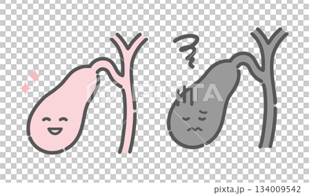 健康な胆嚢と不調な胆嚢の比較イラスト(キャラクター・胆石症・胆嚢炎) 健康な胆嚢と不調な胆嚢の比較イラスト(キャラクター・胆石症・胆嚢炎) 134009542