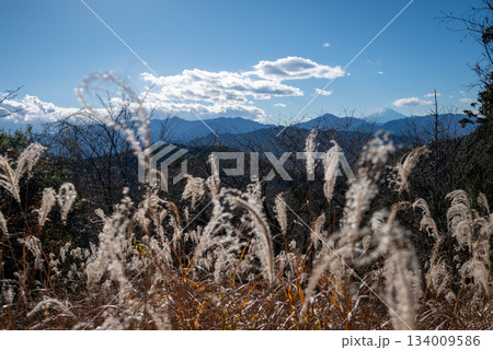 高尾エリア縦走登山、東京 高尾エリア縦走登山、東京 134009586