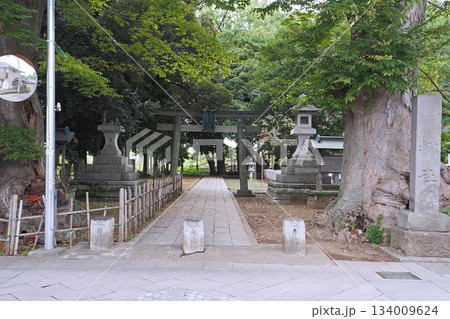 雀神社【茨城県古河市】 雀神社【茨城県古河市】 134009624