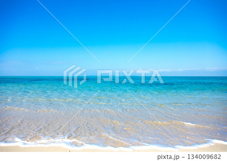 美しいビーチ 134009682