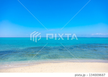 白い砂浜と青い海 134009687