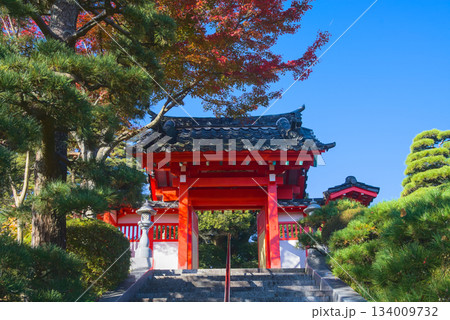 紅葉に映える称名寺の朱塗り山門と秋空の入口風景 134009732