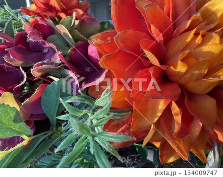 鮮やかな造花 134009747