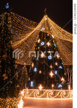 Illuminated Christmas trees in a festive night city square, creating a magical holiday scene. 134010099