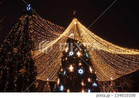 Illuminated Christmas trees in a festive night city square, creating a magical holiday scene. 134010100