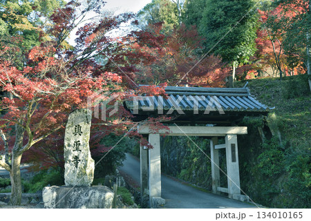 秋の興聖寺 モミジと総門(京都府宇治市) 秋の興聖寺 モミジと総門(京都府宇治市) 134010165