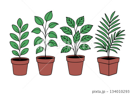 flower_pot 134010293