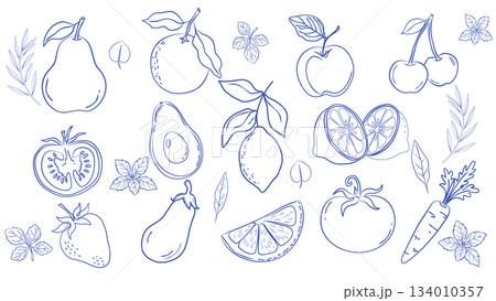 手描きフルーツと野菜のラインアートセット（ミニマル・スケッチ風） 134010357