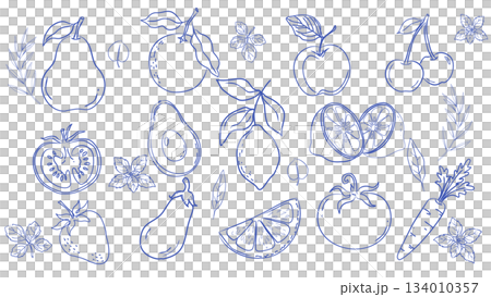 手描きフルーツと野菜のラインアートセット（ミニマル・スケッチ風） 134010357