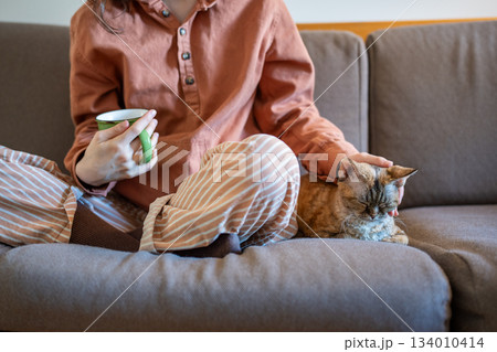 Devon rex relaxing, purring of pleasure and satisfaction while pet owner hand stroking head gently 134010414