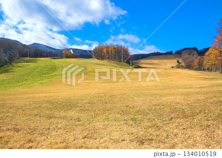 みやぎ蔵王えぼしリゾート秋景のゲレンデ風景 134010519