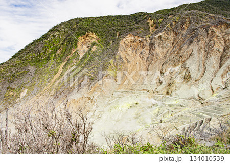 大涌谷の景観 134010539
