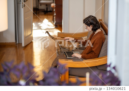 Cat wants attention from woman freelancer who working at home on laptop. Pet therapy, antistress. Cat wants attention from woman freelancer who working at home on laptop. Pet therapy, antistress. 134010621