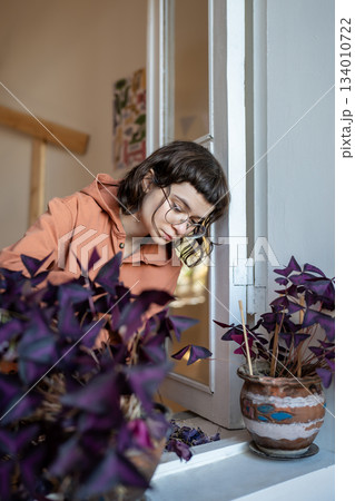 Girl plant lover removing dry purple leaves of Oxalis plants at home. Girl plant lover removing dry purple leaves of Oxalis plants at home. 134010722