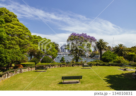 Clark Park in Sydney Australia 134010831