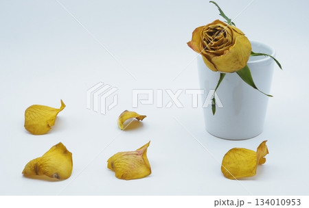 オレンジの枯れたバラと整列された花びら 134010953